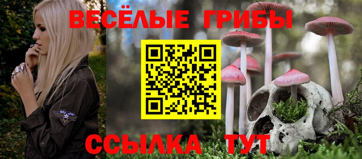Псилоцибиновые грибы Magic Shrooms  продажа наркотиков  Котовск  Вход с VPN 