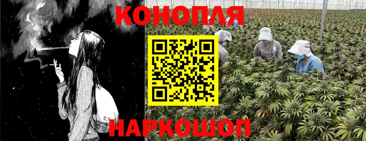 Бошки Шишки тримм Котовск